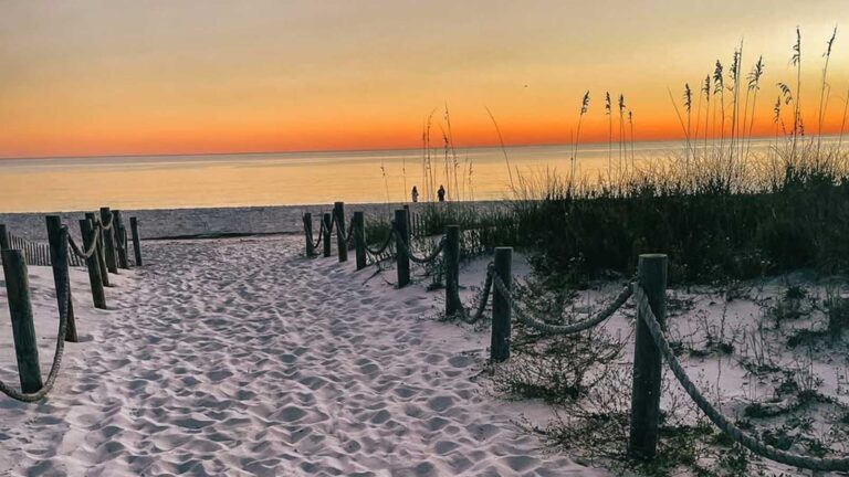 Embracing Tranquility: Discovering the Charm of Mexico Beach, FL